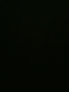 不要留下我一个人孤军奋战..