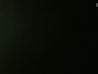 等风也等你