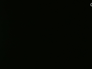 等风也等你