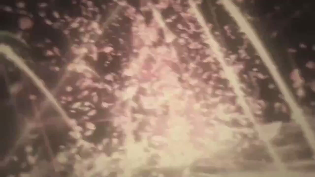 梦幻西游动画片第一季第9集