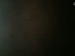等风也等你