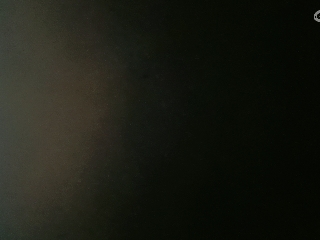 等风也等你