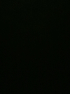 不要留下我一个人孤军奋战..