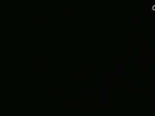 等风也等你