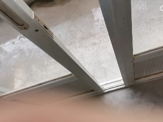 大米粒☆的直播间