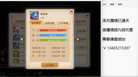 接九转蜃境托管~