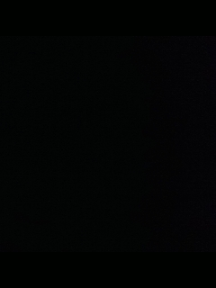 别翻了~就我了~