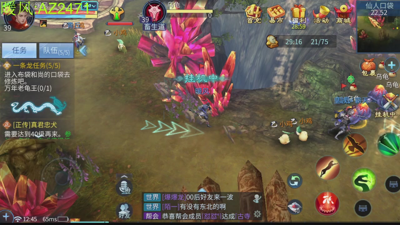 接托管，包强化，背饰打造