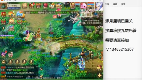 接九转蜃境托管~