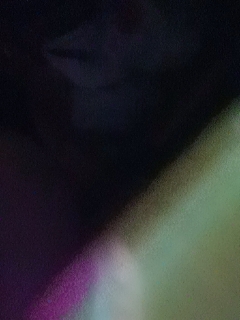 别翻了~就我了~