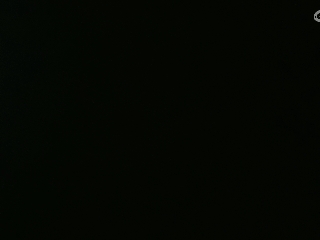 等风也等你