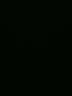 这个直播间很火