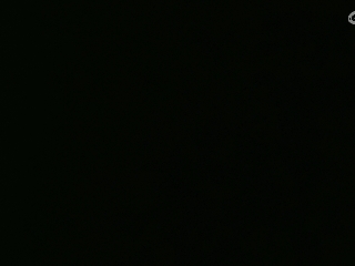 等风也等你