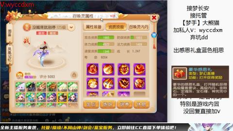 接大海龟活动最后俩天