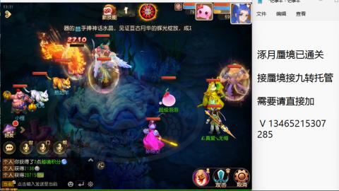 接九转蜃境托管~