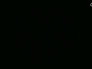 不要留下我一个人孤军奋战..