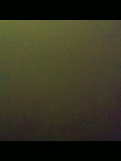 别翻了~就我了~