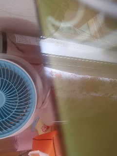 天地两茫茫的直播