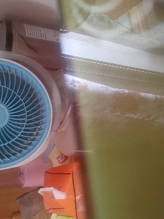 天地两茫茫的直播