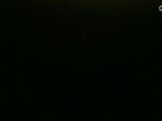 不要留下我一个人孤军奋战..