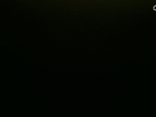 不要留下我一个人孤军奋战..
