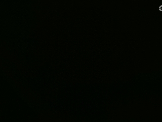 不要留下我一个人孤军奋战..