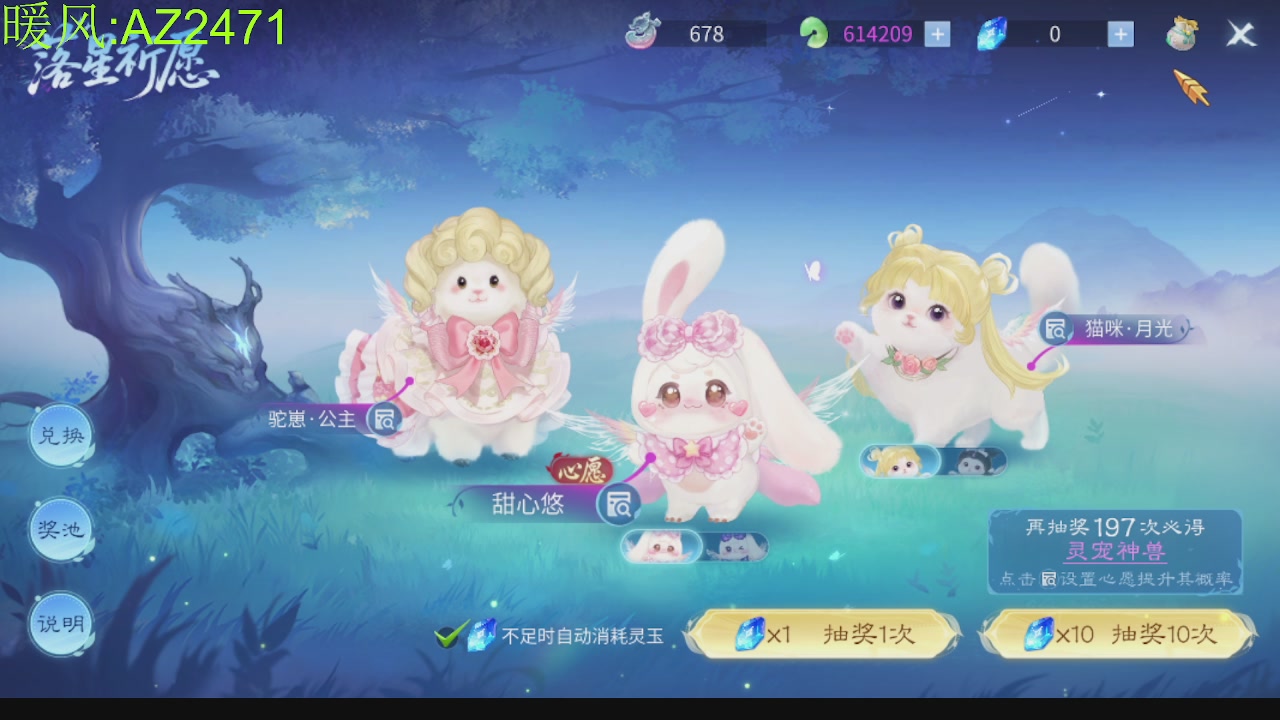 接托管，包强化，背饰打造