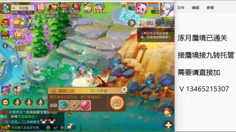 接九转蜃境托管~