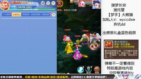 接大海龟活动最后俩天