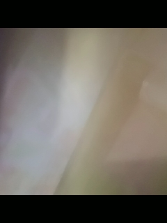 别翻了~就我了~