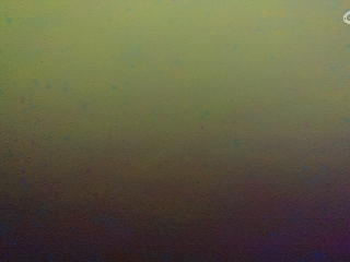 这个直播间很火