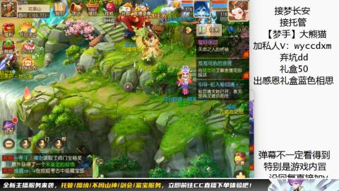 接大海龟活动最后俩天