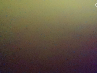 这个直播间很火