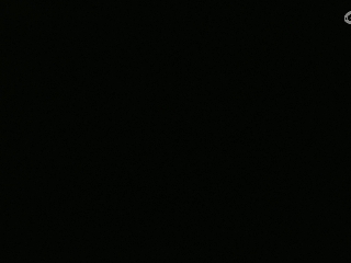 等风也等你