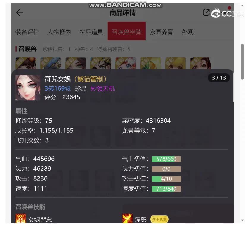 十年女人