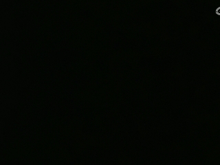 等风也等你