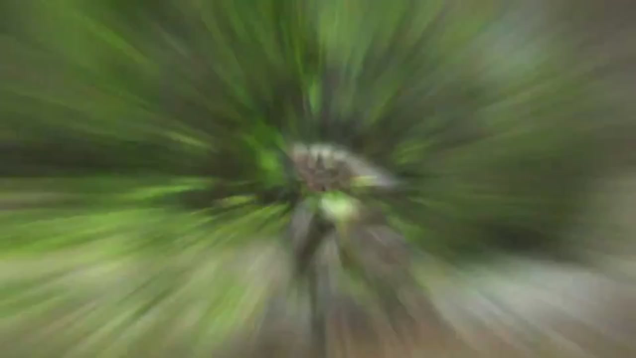 梦幻西游动画片第一季第8集