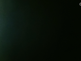 等风也等你