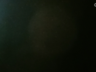 等风也等你