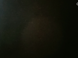 没有你 直播都乏味了