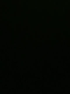 我愿化作人间的风雨陪着守护我的人