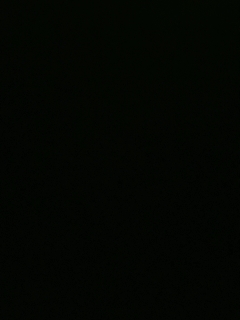 我愿化作人间的风雨陪着守护我的人
