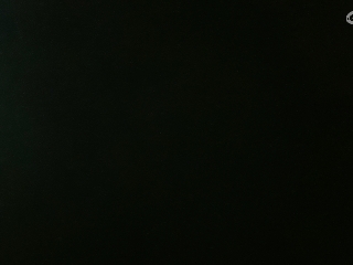 没有你 直播都乏味了