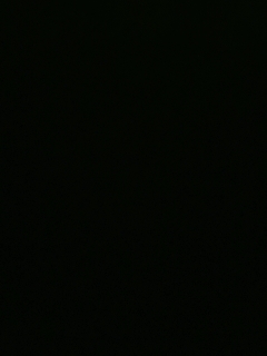 我愿化作人间的风雨陪着守护我的人