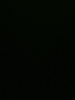我愿化作人间的风雨陪着守护我的人
