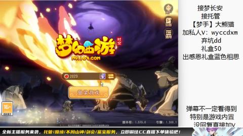 接大海龟活动最后俩天