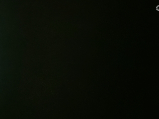 等风也等你