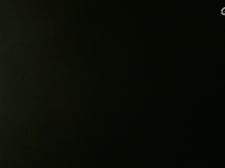没有你 直播都乏味了