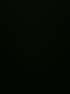 我愿化作人间的风雨陪着守护我的人
