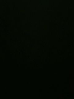 我愿化作人间的风雨陪着守护我的人